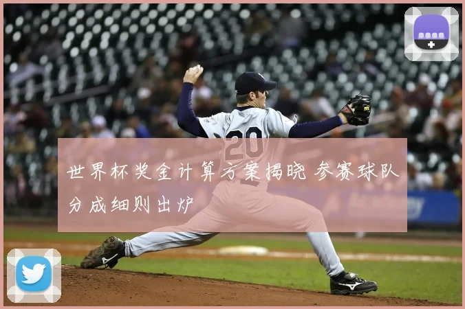 世界杯奖金计算方案揭晓 参赛球队分成细则出炉