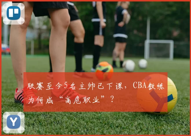 联赛至今5名主帅已下课，CBA教练为何成“高危职业”？