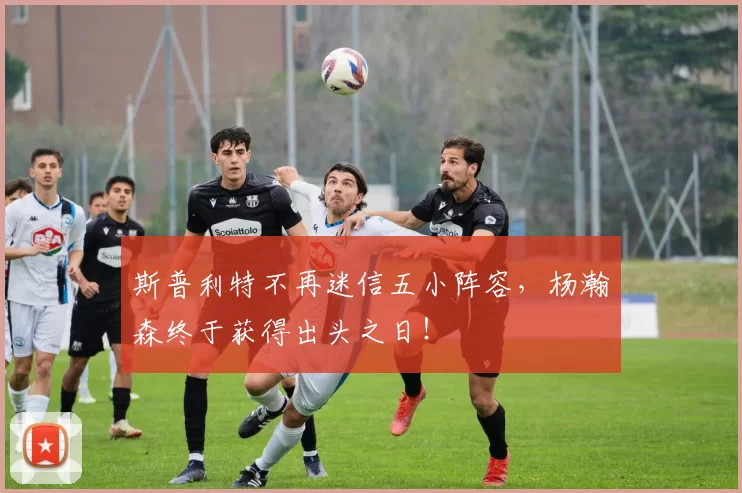 斯普利特不再迷信五小阵容，杨瀚森终于获得出头之日！