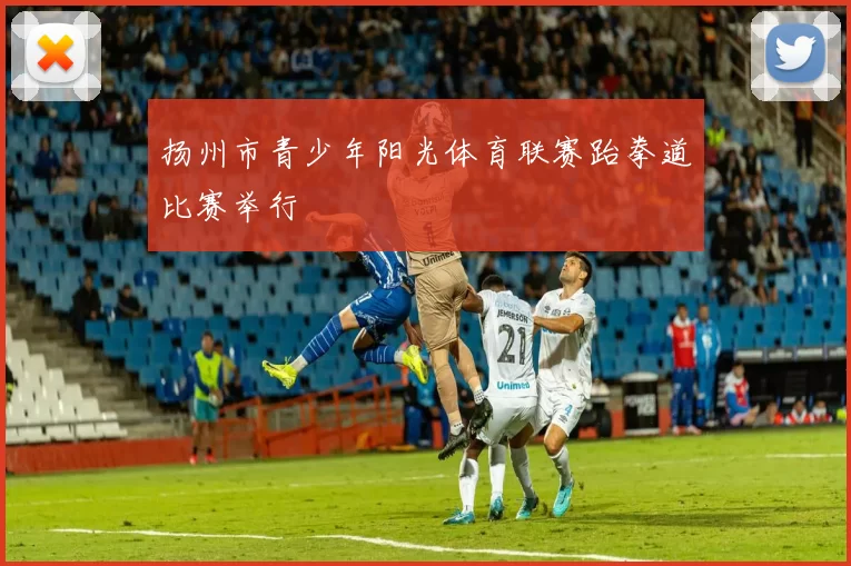 扬州市青少年阳光体育联赛跆拳道比赛举行